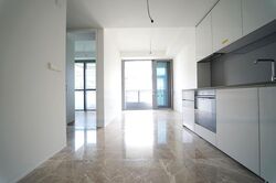Amber Park (D15), Condominium #595774711